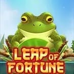 Leap of Fortune screenshot